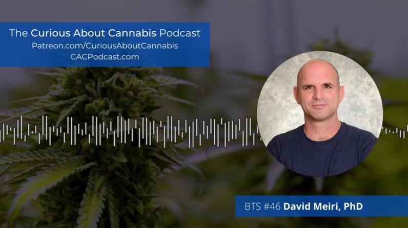 BTS #46 David (Dedi) Meiri PhD on Cannabis for Cancer, Future of Cannabinoid Science